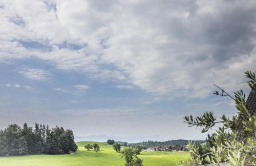 Ferienwohnung Schottenhof Walser 3 - Alleinlage im Grünen mit Panoramablick - Foto 7