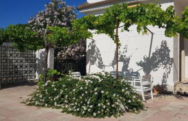 Villa tra gli ulivi - Foto 1