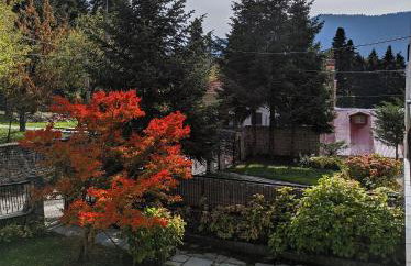 The House with the Hydrangeas - Foto 6