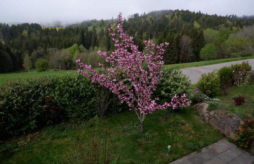 Haus Lichtblick - Foto 9