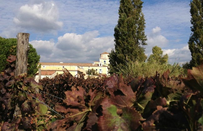 Masseria La Morella - Foto 50