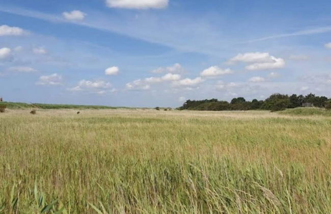 Seaside Serenity in Faldsled-by Traum - Foto 24