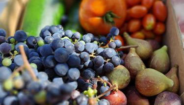 a casa di nonna Tarsilla-entire apartment,5 guests - Foto 2