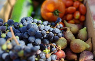 a casa di nonna Tarsilla-entire apartment,5 guests - Foto 2