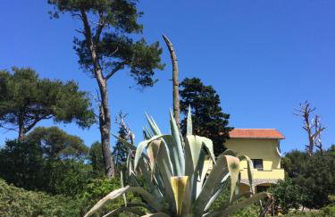 APARTMENT ŽUŽI Otok Silba Hrvatska - Foto 23