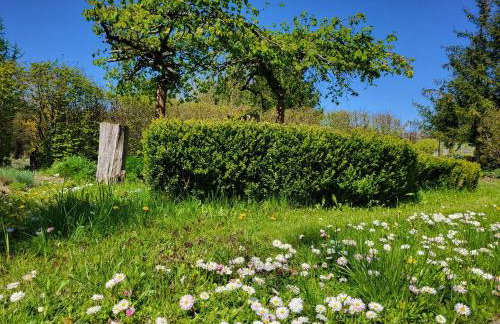 Dom Malarki - Foto 41