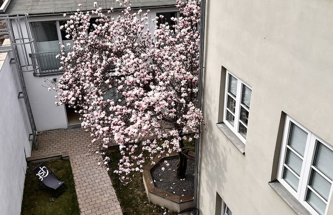 ANA Suites Augsburg City Center - Foto 19