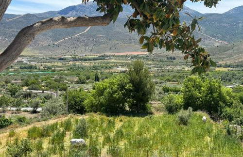 CASA YANGUAS APARTAMENTOS RURALES EN LAUJAR DE ANDARAx - Foto 130
