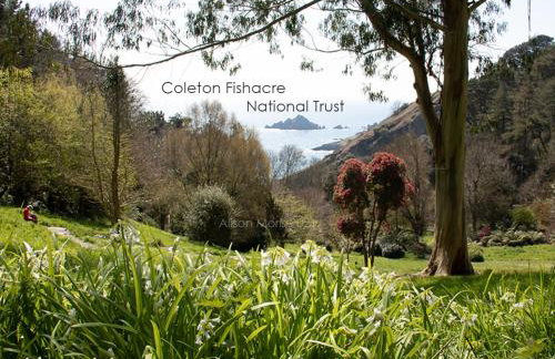 Dart Haven - cheerful holiday bungalow in Galmpton - Photo 31