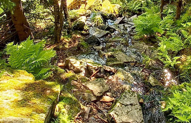 6 Person Holiday Home in Passebekk-by Traum - Photo 41