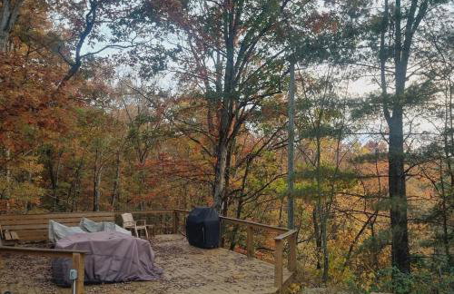 3BR Pet Friendly Cottage Mathias WV - Foto 46