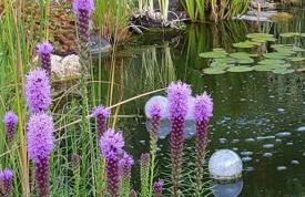 Zur Königslay - Foto 40