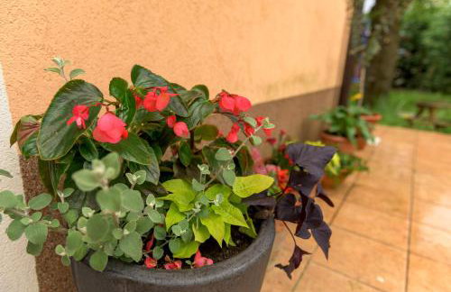 Crni mačak - Foto 1