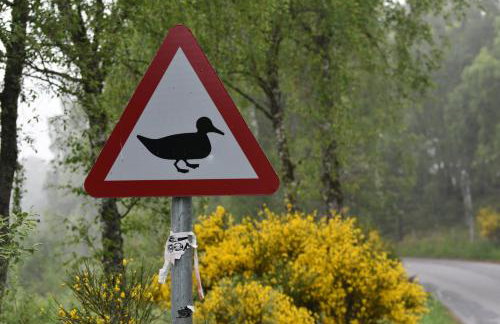 Bynack Lodge - Foto 36