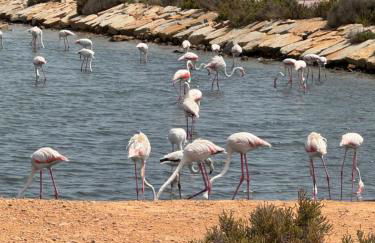 Nita Villa Altaona Golf Turquoise Sleeps 4 adults - Foto 23