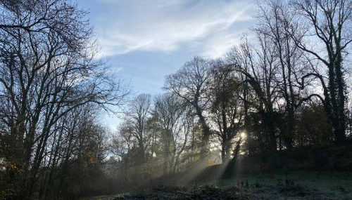 Roulotte enchantée dans le parc d'un château vendéen - Photo 5