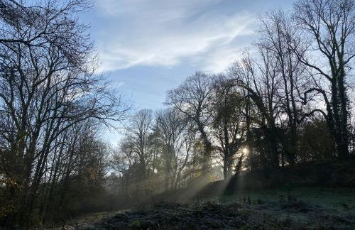 Roulotte enchantée dans le parc d'un château vendéen - Photo 5