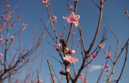 Apartment LuMaGo - Photo 39