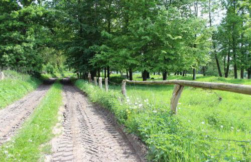 Haus Kornblume - Foto 17