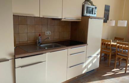 Igelnest im Küstenwald Graal-Müritz - Foto 5