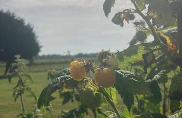 Peaceful Hideaway in South Downs - Foto 37