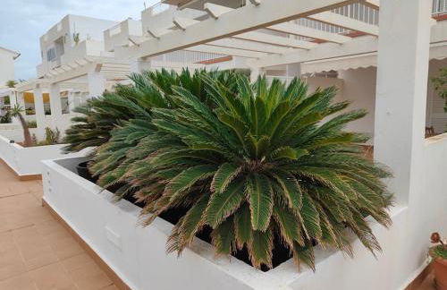 Spacious and luxurious apartment - Foto 2