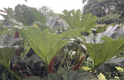 Crannog House - Foto 35