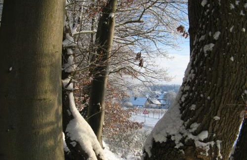 Ferienwohnung Am Walde - Photo 57