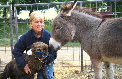 A - Farmhouse Apartment on Miles Smith Farm - Foto 33