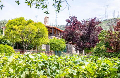 Fonte dos Pepes by LovelyStay - Foto 38