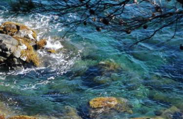 PETIT PARADIS - St MANDRIER VILLAGE - Foto 32