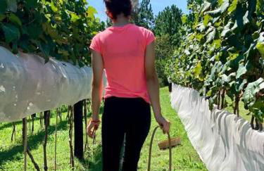 Quarto dos Vinhos - Foto 15