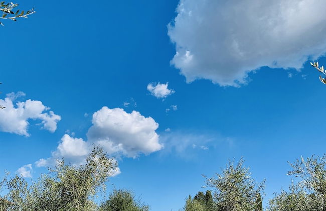 Tenuta Agricola Fraschiera - Foto 51