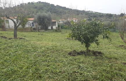 Casa das 3 Palmeiras - Foto 54