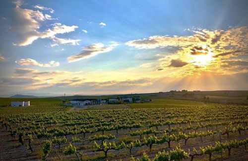 InHome Central Studio - Foto 24