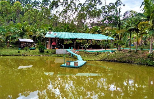 Sitio Libardo - Nova Trento - SC - Foto 35