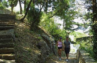 Apartment Lorna & Igor Zuvic - Foto 20