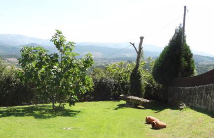 Casa das Andorinhas - Foto 8