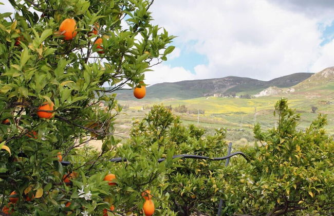 Tenuta Lanza Il Mulino - Photo 22