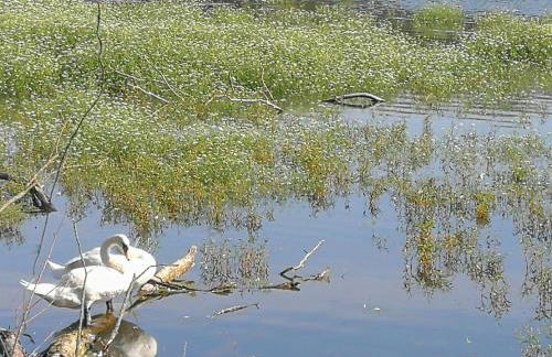 Doberschützer Hof - Foto 43