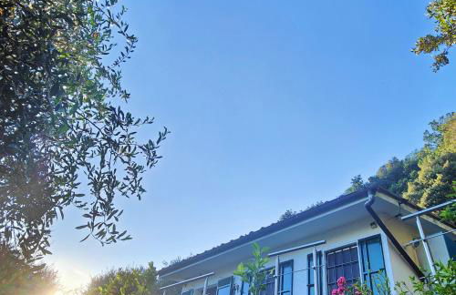 Massaciuccoli Romana - Foto 29