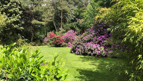 Ferienwohnung Lands Huys - Photo 2, Garden