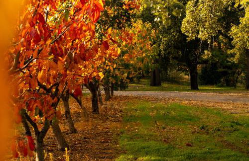 Carvalhal Redondo - Farm House - Foto 79