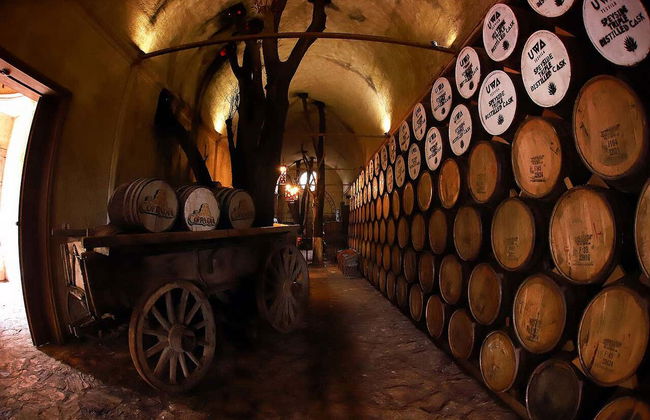 Tequila Tour + Distillery Visit with Tasting - Photo 7