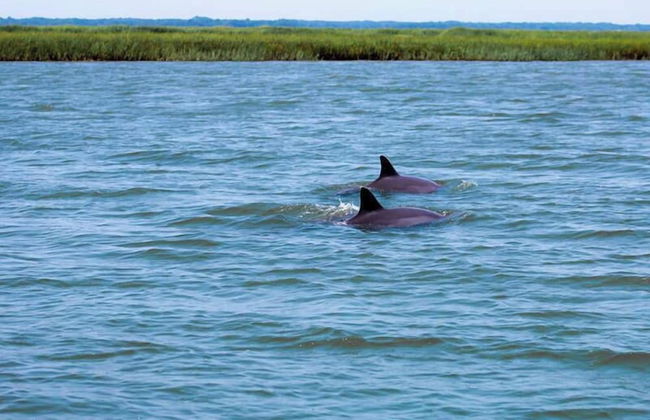 721 Sea Dragon Ln - Foto 32