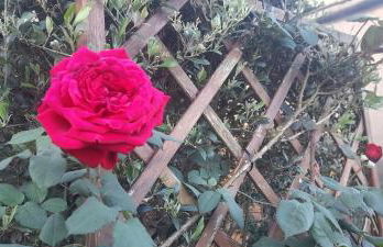 2Azores With Comfort and Style - Photo 34