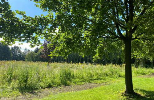 NEU! Luxus Apartment - Foto 14