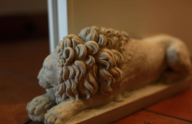 Residenza Gens Julia - Foto 66