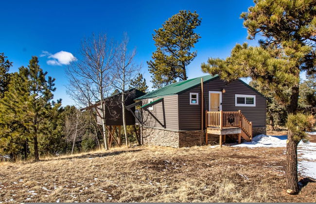 Perch Point- Hikers Dream Cabin Base - Photo 23