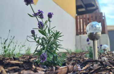 Ferienwohnung Noah - Foto 10